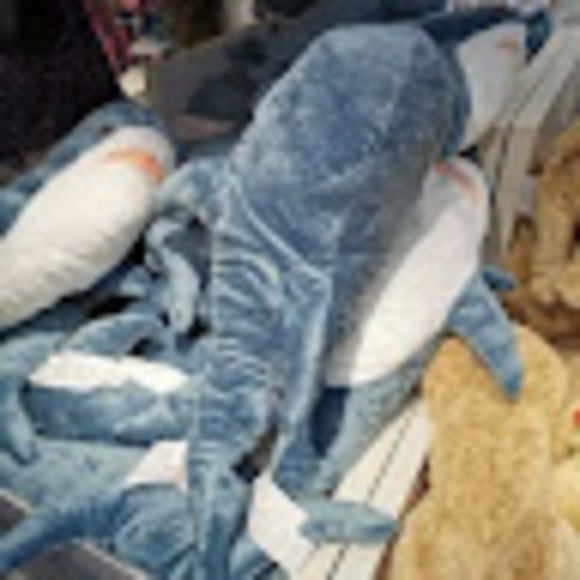 Meet your Posher, Rongliang - Picture 1 of 1